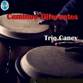 Album cover of Caminos Diferentes