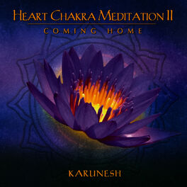 Album cover of Heart Chakra Meditation II - Coming Home