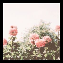 Album cover of lullabies (longlost flip)
