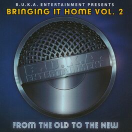 Album cover of Bringing It Home Vol. 2