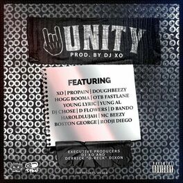 Album cover of Unity, Vol. 1