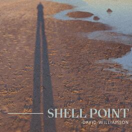 Album cover of Shell Point (feat. BraveWater, Illnomadic & Kelly Hyde)