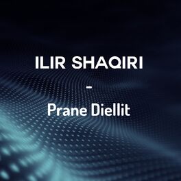 Album cover of Prane Diellit
