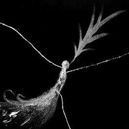 Album cover of MÖDI