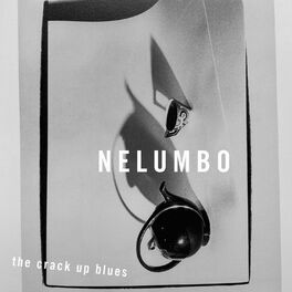Album cover of The Crack up Blues