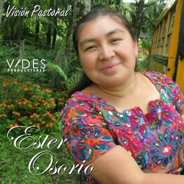 Album cover of Vision Pastoral