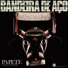 Album cover of Bandeira De Aço