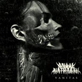 Album cover of Vanitas