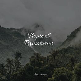 Album cover of Tropical Rainstorms