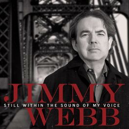 Album cover of Still Within The Sound Of My Voice