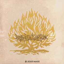 Album cover of All Honor (Consuming Fire) (Live)