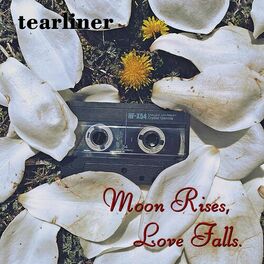 Album cover of Moon Rises, Love Falls.