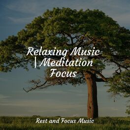 Album cover of Relaxing Music | Meditation Focus