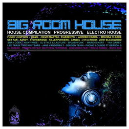 Album cover of Sheeva Big Room House