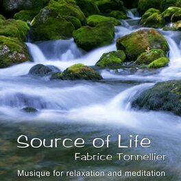 Album cover of Source of Life: Music for Relaxation and Meditation