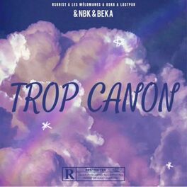 Album cover of Trop Canon (feat. RSKRIST, Les mélomanes, Aska, Lastpak & BEKA) [NBK Remix]
