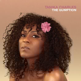Album cover of The Gumption