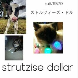 Album cover of strutzise dollar