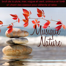 Album cover of Musique nature – Bruit de la pluie, mer, vague et vent, animaux et forêt et chant des oiseaux pour détente et relax