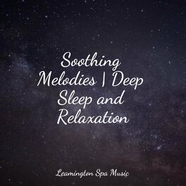 Album cover of Soothing Melodies | Deep Sleep and Relaxation