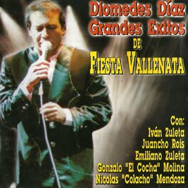 Album cover of Grandes Exitos de Fiesta Vallenata