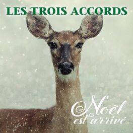 Album cover of Noël est arrivé