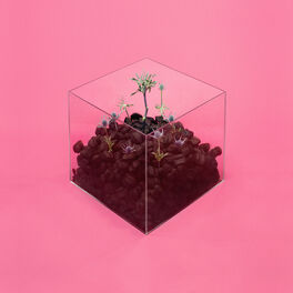 Album cover of Wake