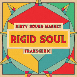 Album cover of Rigid Soul