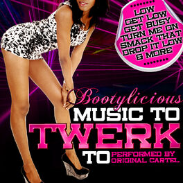 Album cover of Bootylicious: Music to Twerk To