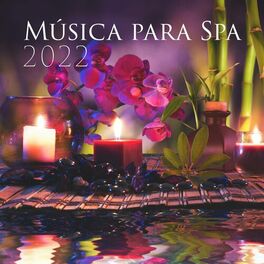 Album cover of Música para Spa 2022: Mais de 50 Minutos para Massagem, Relaxamento, Yoga e Atenção Plena