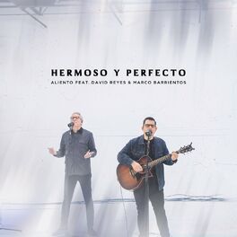 Album cover of Hermoso y Perfecto (En Vivo)