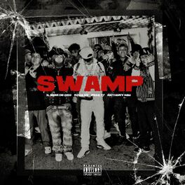 Album cover of Swamp
