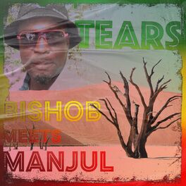 Album cover of Tears