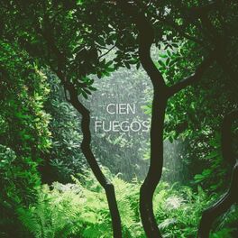 Album cover of Cien Fuegos