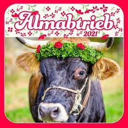 Album cover of Almabtrieb 2021