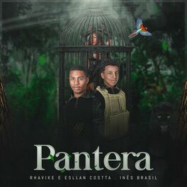 Album cover of Pantera