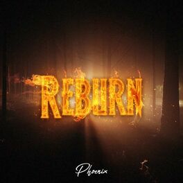Album cover of Reburn