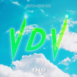 Album cover of VDV