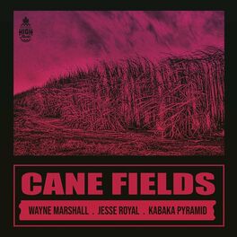 Album cover of Cane Fields