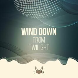 Album cover of Wind Down From Twilight