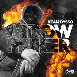 Album cover of Widow Maker