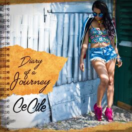 Album cover of Diary of a Journey