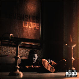 Album cover of Levensles