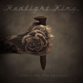 Album cover of Something For The Pain