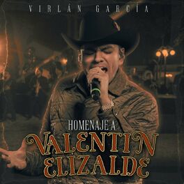 Album cover of Homenaje a Valentín Elizalde (En Vivo)