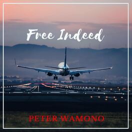 Album cover of Free Indeed