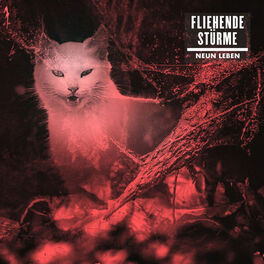 Album cover of Neun Leben