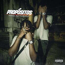 Album cover of Propósitos (feat. PJ HOUDINI)