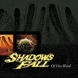 Shadows Fall: albums, songs, playlists | Listen on Deezer