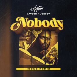 Album cover of Nobody (Icons Remix)